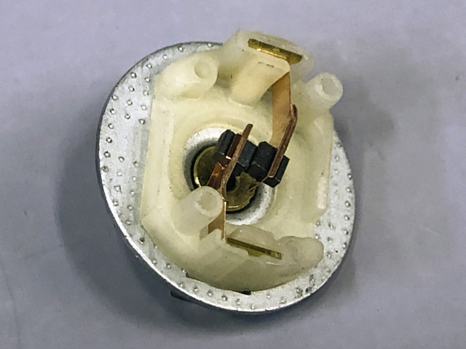 Close up the huge brushes within a DL-series motor